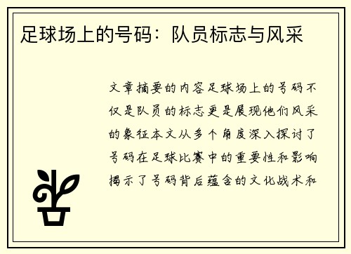 足球场上的号码：队员标志与风采