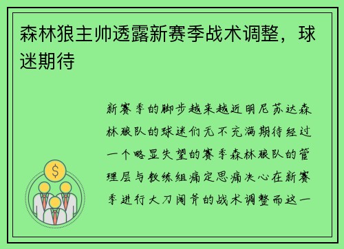 森林狼主帅透露新赛季战术调整，球迷期待