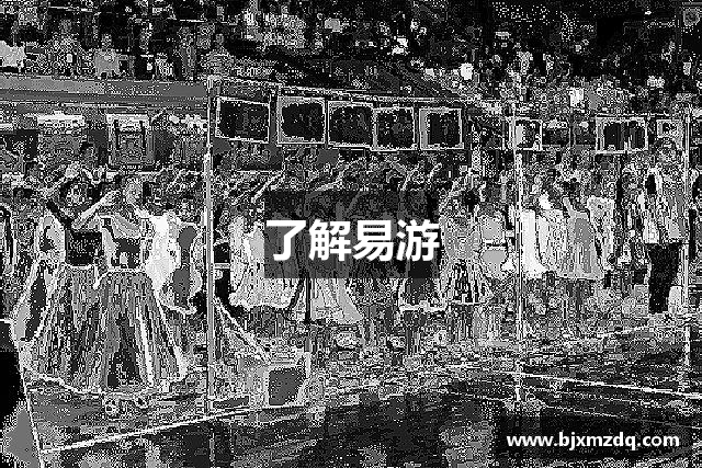 了解易游